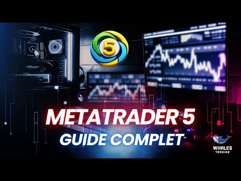 MetaTrader 5 : Guide Complet 2024 d&#039;Utilisation pour PC 💻📊