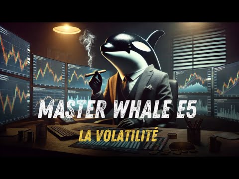 Master Whale E5 : Comment Analyser la Volatilité des Marchés 📉🐳