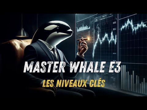 Master Whale E3 : L&#039;importance des Niveaux Clés en Trading 🐳📉